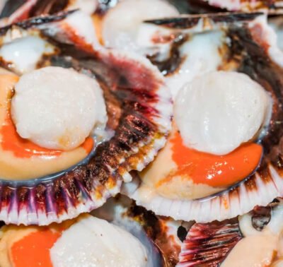Fresh Oysters Dozen